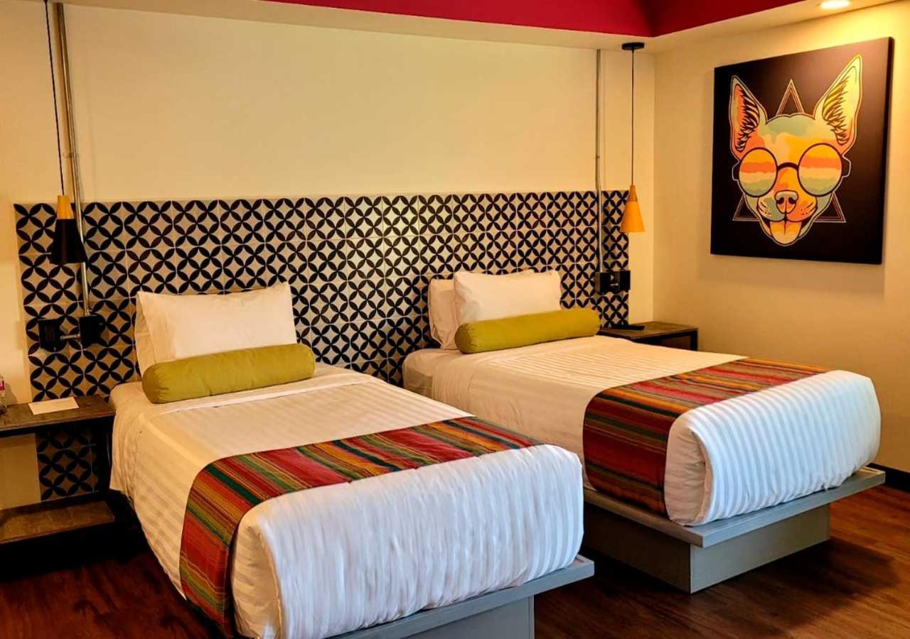 Estancias Vive Mx Cuauhtemoc メキシコシティ エクステリア 写真